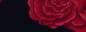 Mobile Preview: Crespon Koshibo schwarz mit großen roten Rosen