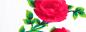 Mobile Preview: Crespon Koshibo weiß mit kleinen roten Rosen