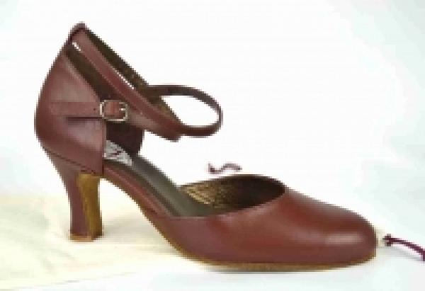 Latin Standard Salsa Dance Shoes 520 Smooth Leather Chocolate Brown